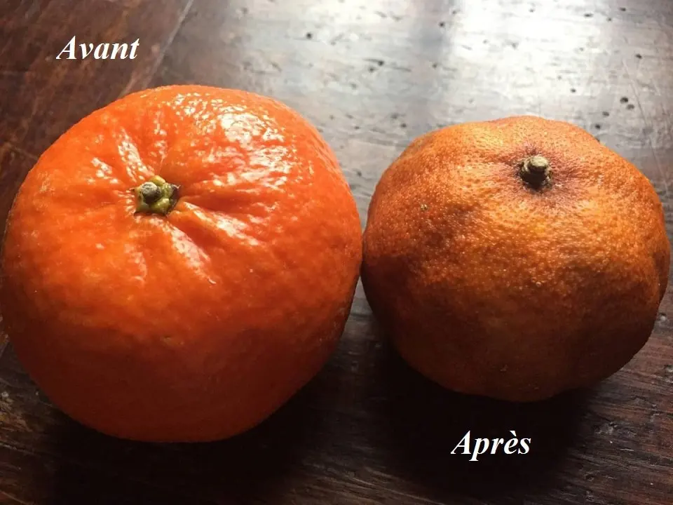 test de l'orange ou de l'agrume magnétisé
